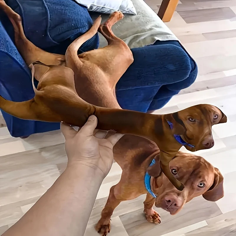 Una almohada para mascotas personalizable, juguete de peluche con retrato 3D personalizado para gatos y perros, mini juguete de almohada para animales