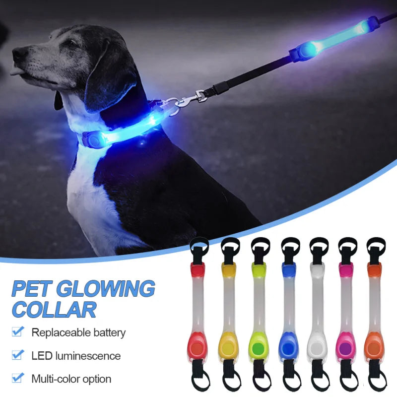 Collar brillante de seguridad antipérdida para perros, colgante multicolor para exteriores, tira de luz intermitente Led de advertencia impermeable, suministro de tracción para mascotas