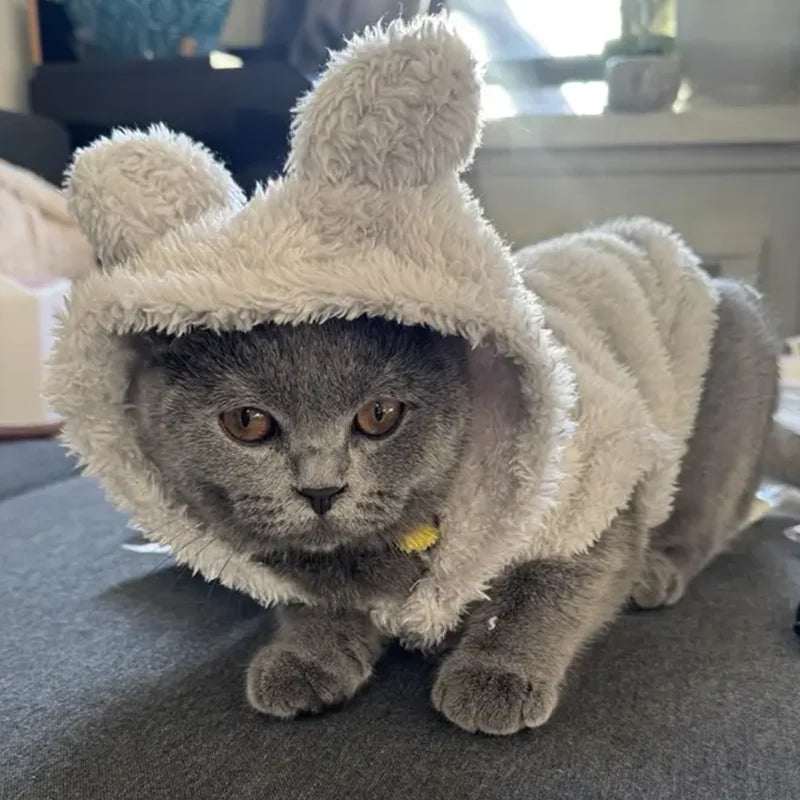 Sudadera con capucha cálida de invierno para gatos, trajes bonitos y acogedores para mascotas, ropa para mascotas con Orejas de conejo para perros pequeños y medianos, abrigo suave Sphynx para cachorros y gatitos