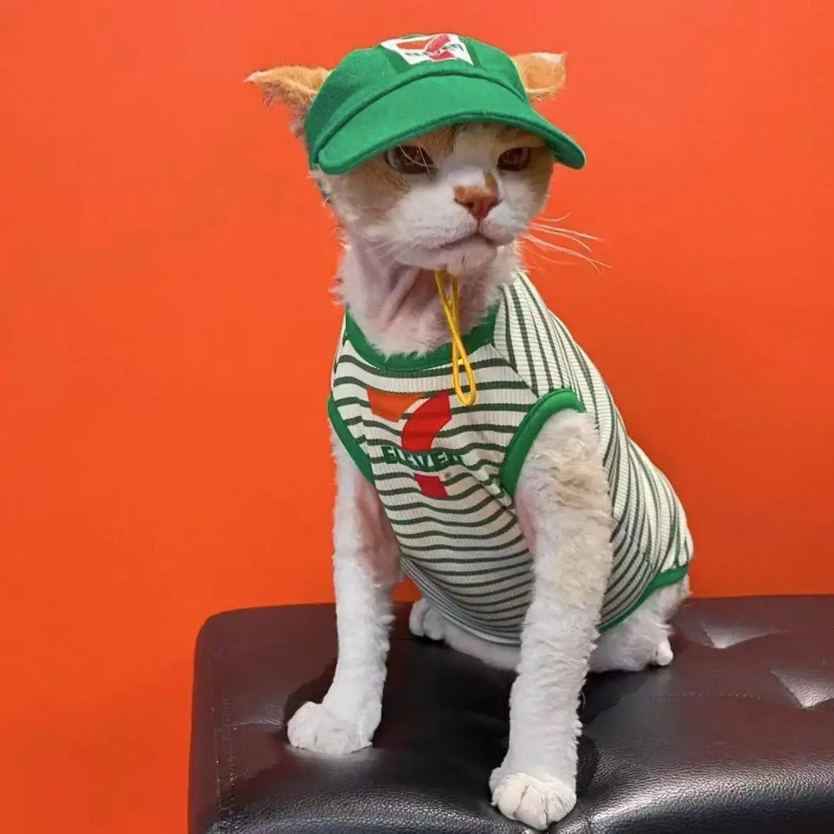 Chaleco sin mangas para gatos de verano, conjunto de gorros, traje sin pelo para gatos Devon con aire acondicionado, ropa para mascotas con estampado grande de 7 letras, adecuado