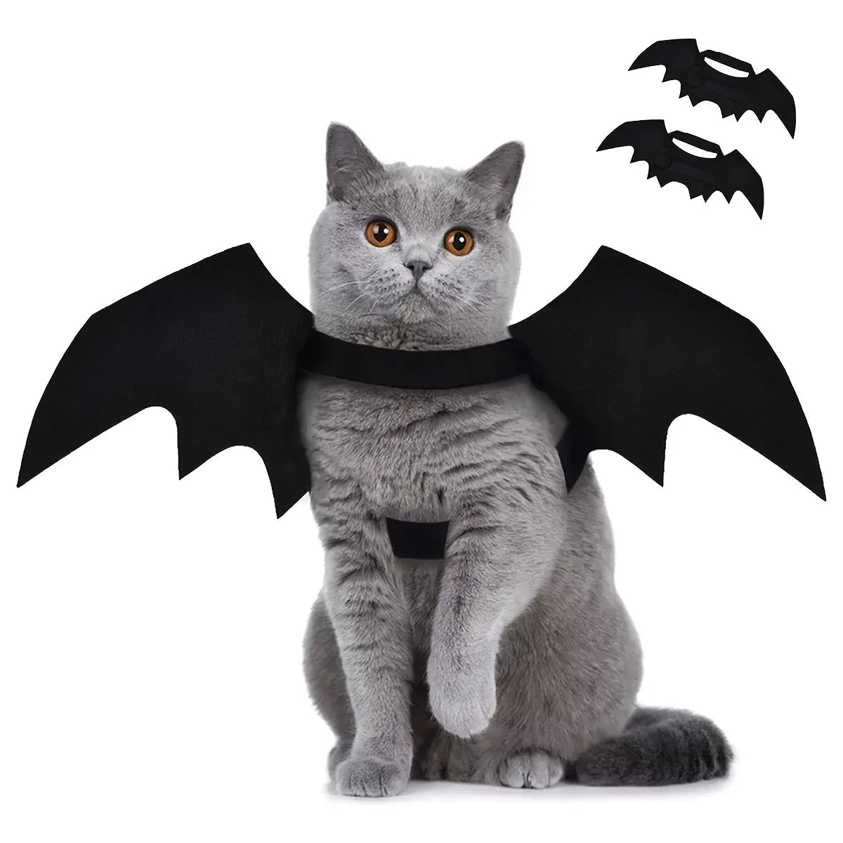 Lindo disfraz de Halloween para perros pequeños, disfraz de gato, vampiro, mascota pequeña, alas de murciélago, accesorios de alas de gato de Halloween, decoraciones de Halloween