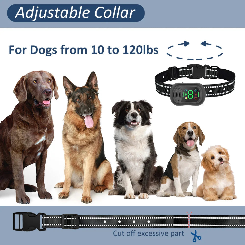 Collar de adiestramiento para perros con control remoto, 6500 pies, control remoto, recargable, pitido/vibración/choque/bloqueo de seguridad para llamadas remotas, resistente a la lluvia