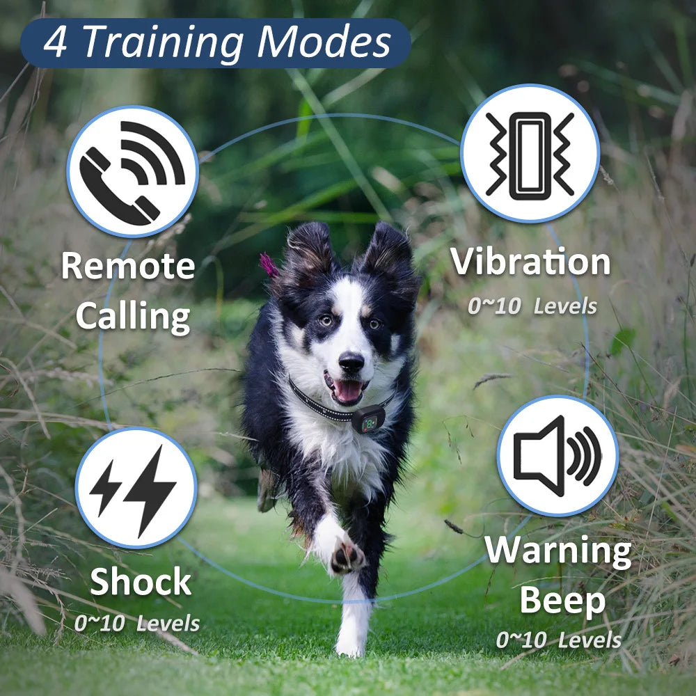 Collar de adiestramiento para perros con control remoto, 6500 pies, control remoto, recargable, pitido/vibración/choque/bloqueo de seguridad para llamadas remotas, resistente a la lluvia