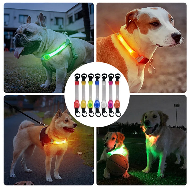 Collar brillante de seguridad antipérdida para perros, colgante multicolor para exteriores, tira de luz intermitente Led de advertencia impermeable, suministro de tracción para mascotas