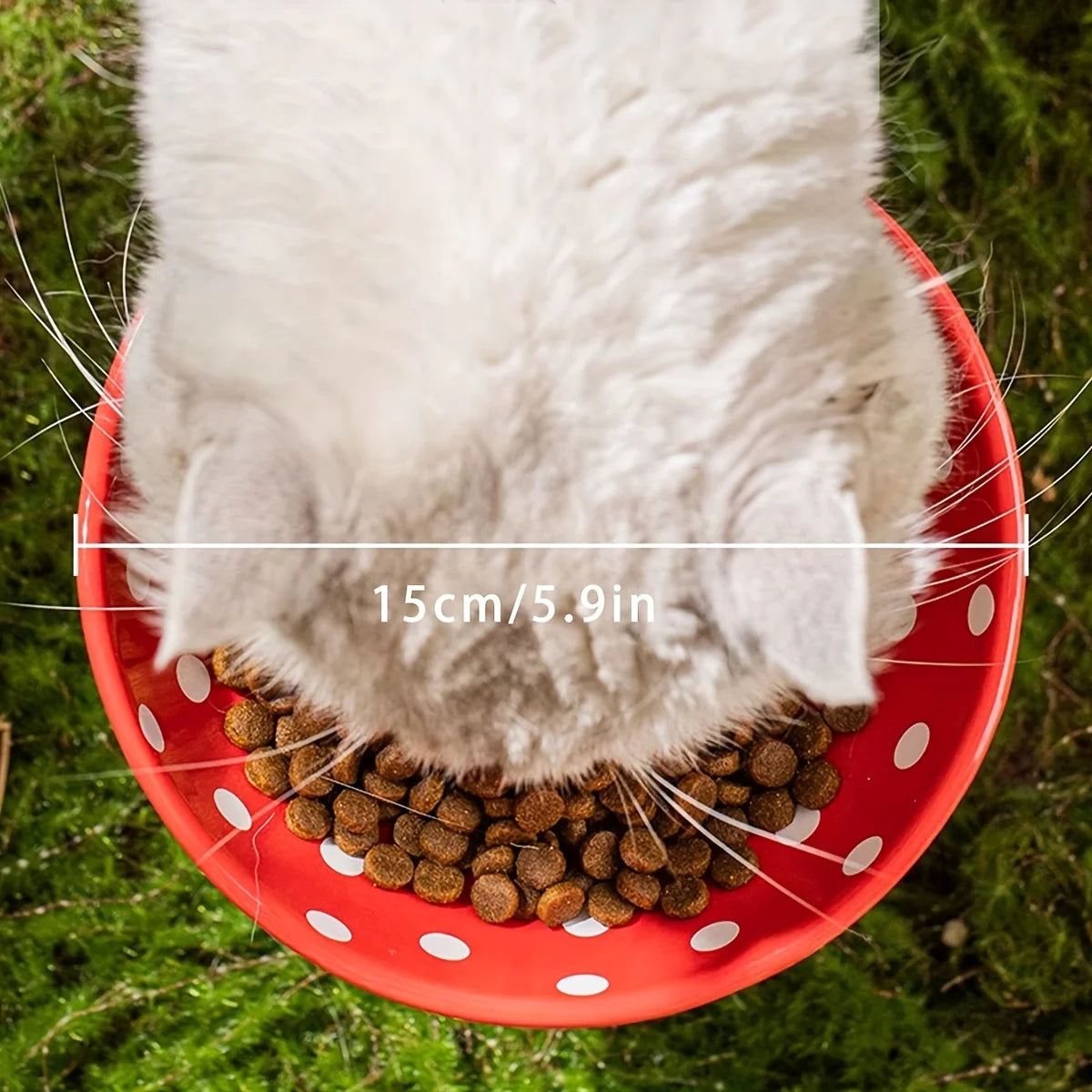 Cuenco para gatos con forma de seta de resina: alto, capacidad de 300 ml, apto para gatos: ideal para festivales de alimentación y beber